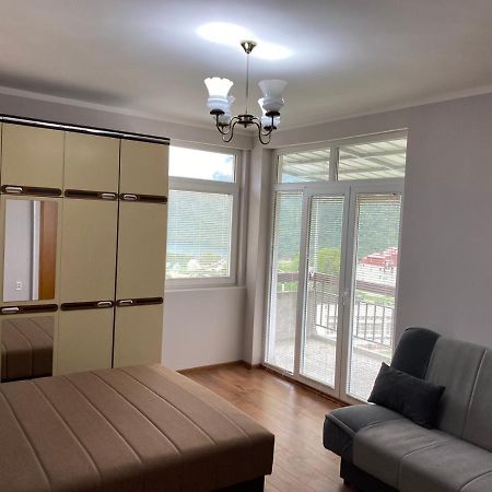 Linden Apartment بلوزين المظهر الخارجي الصورة
